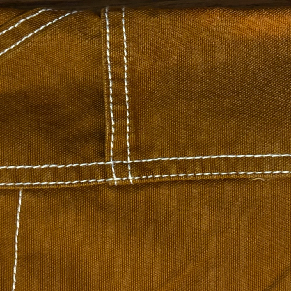 Brand new BDG carpenter pants.